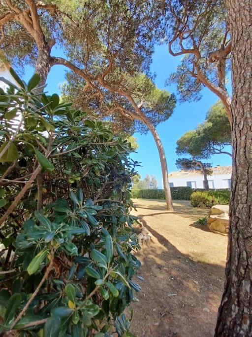Apartamento Roc Mar Llafranc Exterior foto