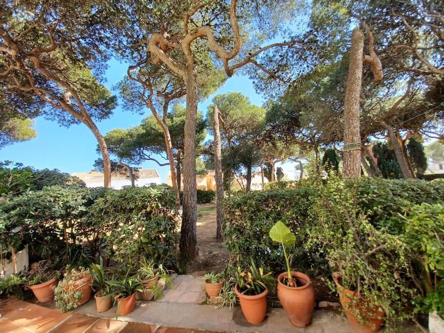 Apartamento Roc Mar Llafranc Exterior foto